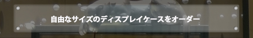自由なサイズのディスプレイケースをオーダー