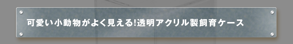 可愛い小動物がよく見える！透明アクリル製飼育ケース
